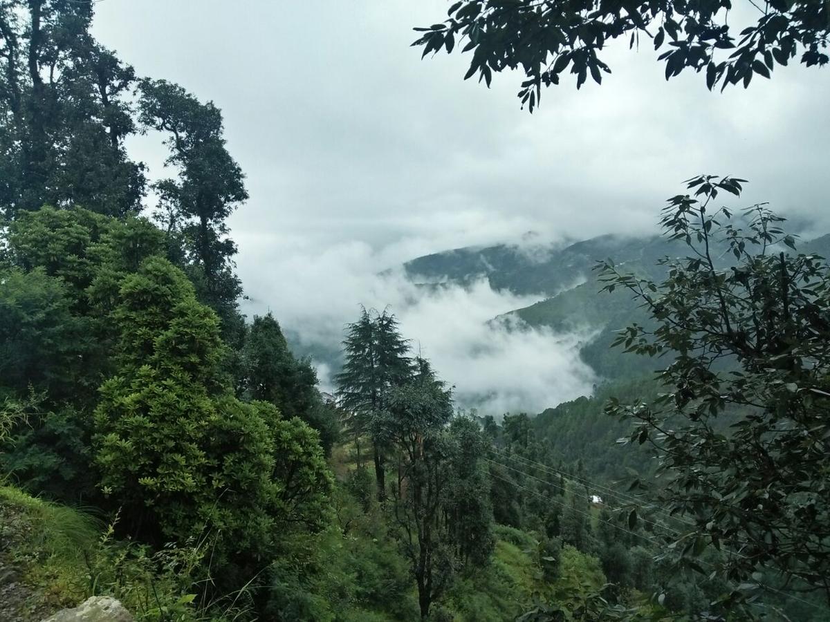 Oyo 11877 Royal Residency Hotel New Tehri Quarto foto